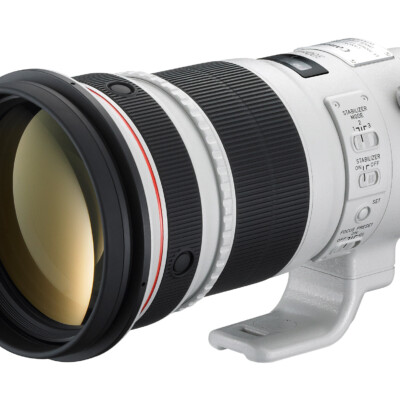 Canon EF 300mm f/2.8 L IS II USM