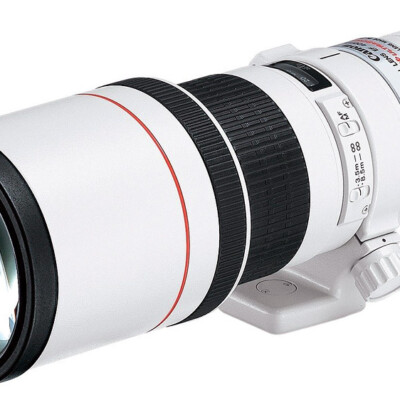 Canon EF 400mm f/5.6 L USM